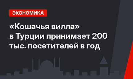 «Кошачья вилла» в Турции принимает 200 тыс. посетителей в год