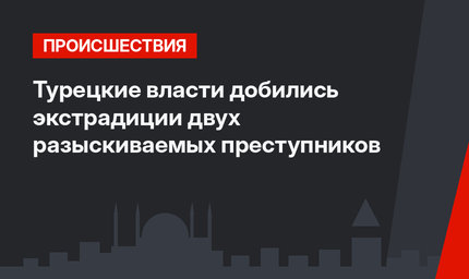 Турецкие власти добились экстрадиции двух разыскиваемых преступников