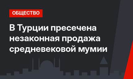 В Турции пресечена незаконная продажа средневековой мумии