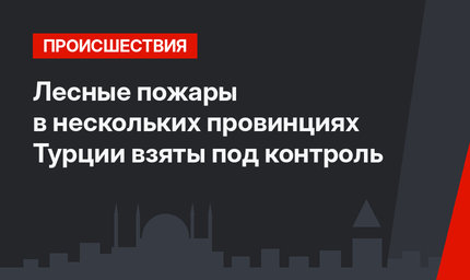 Лесные пожары в нескольких провинциях Турции взяты под контроль
