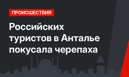 Российских туристов в  Анталье покусала черепаха