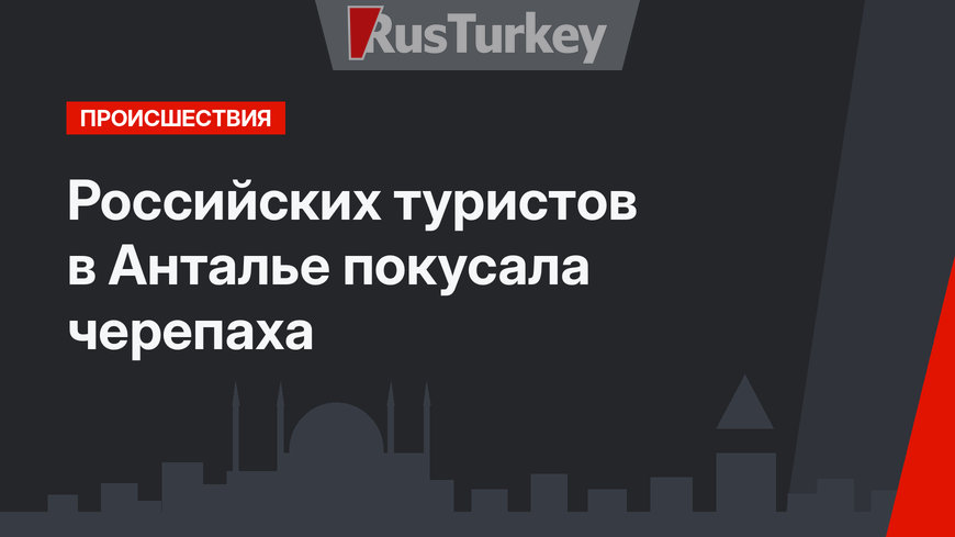 Российских туристов в  Анталье покусала черепаха