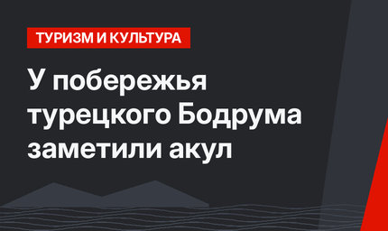 У побережья турецкого Бодрума заметили акул