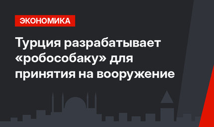 Турция разрабатывает «робособаку» для принятия на вооружение