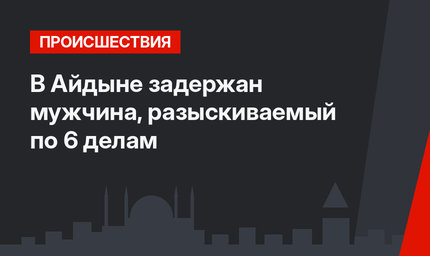 В Айдыне задержан мужчина, разыскиваемый по 6 делам