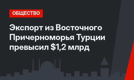 Экспорт из Восточного Причерноморья Турции превысил $1,2 млрд