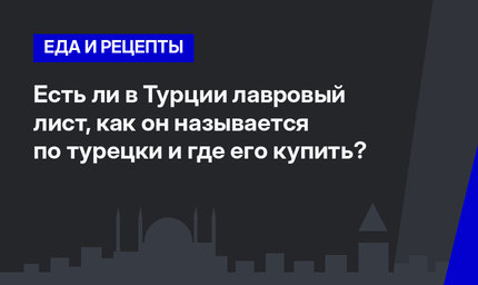  Есть ли в Турции лавровый лист, как он называется по турецки и где его купить? 