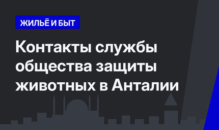   Контакты службы общества защиты животных в Анталии